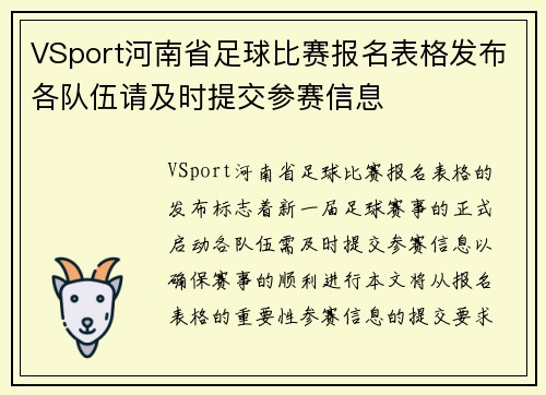 VSport河南省足球比赛报名表格发布各队伍请及时提交参赛信息