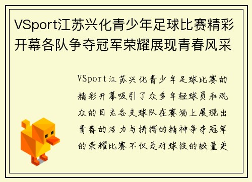 VSport江苏兴化青少年足球比赛精彩开幕各队争夺冠军荣耀展现青春风采